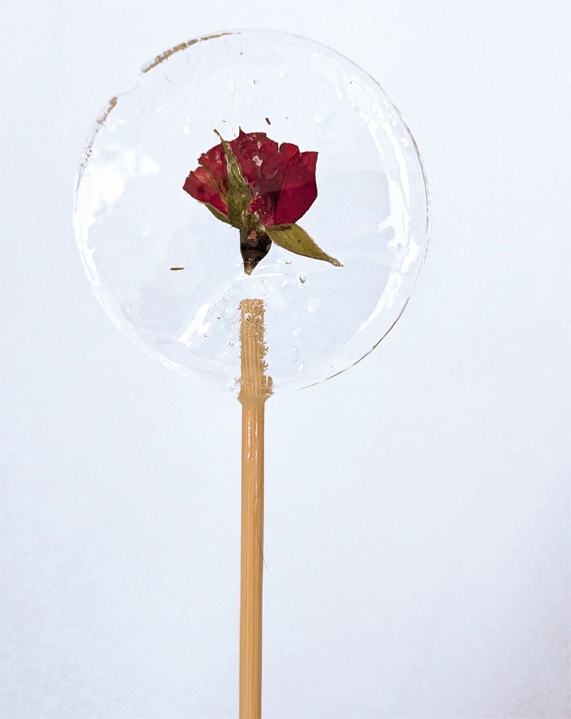 grosser runder lolli mit eingelassener rose