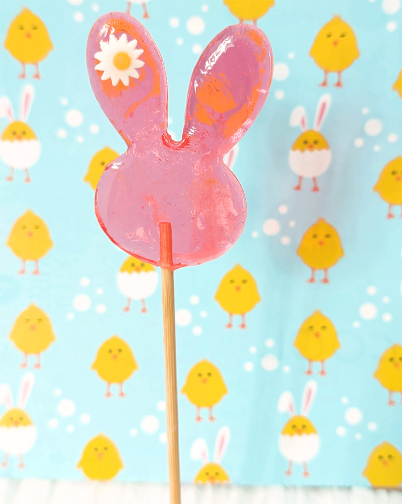 hasenlolli mit blüte